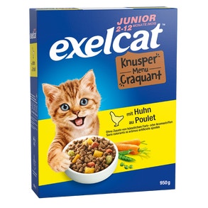 Exelcat Junior Produits