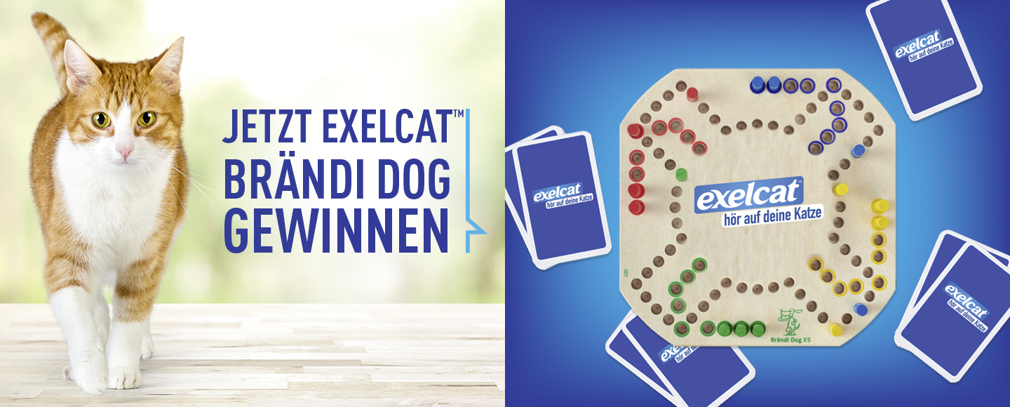 banner with campaign logo