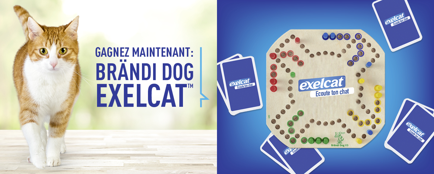 banner with campaign logo