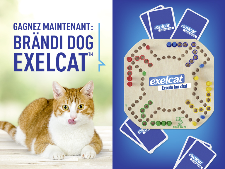 banner with campaign logo