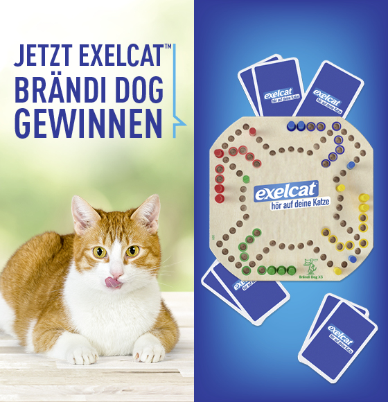 banner with campaign logo