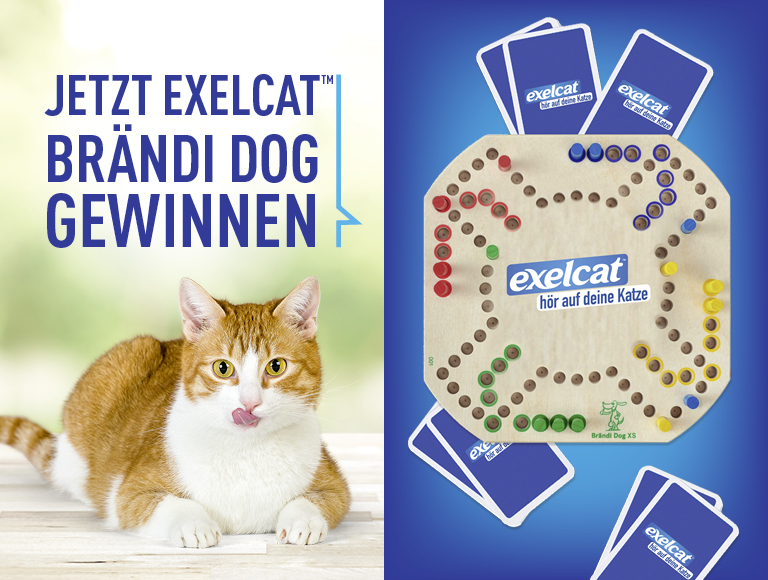 banner with campaign logo